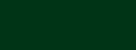 6005-1 RAL 6005