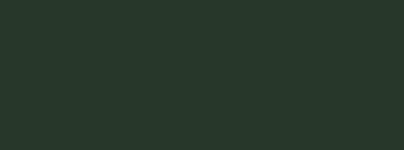 6020-1 RAL 6020