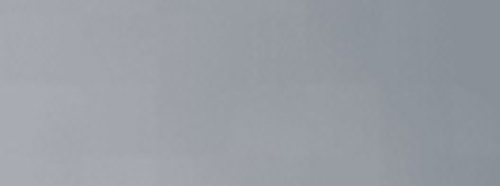 9007-1 RAL 9007