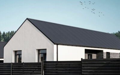 Kiek kainuoja trapecinė skarda 2025 metais? Sužinokite naujausias kainas