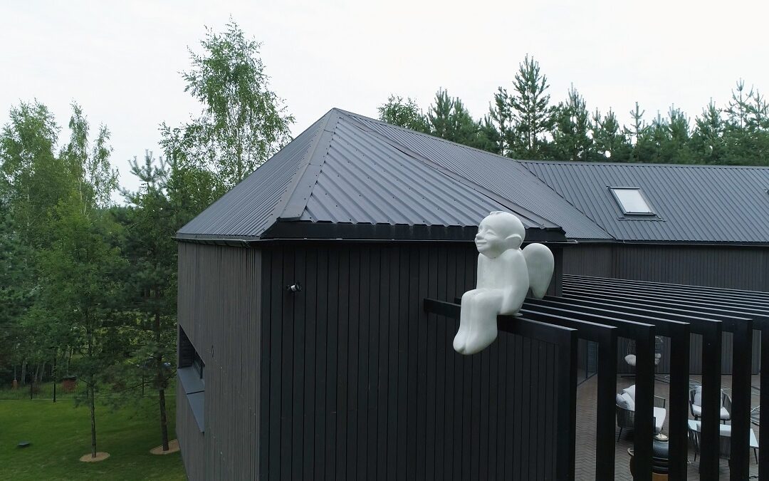 Kaip montuoti trapecinę skardą ant pastato fasado?